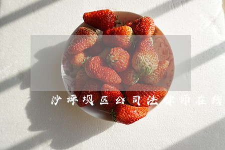 沙坪坝区公司法律师在线免费咨询 沙坪坝区公司法律师在线免费咨询