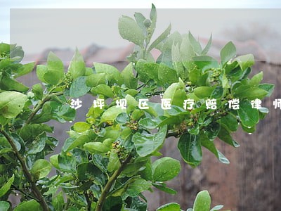 沙坪坝区医疗赔偿律师 沙坪坝区医疗赔偿律师