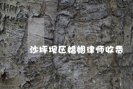沙坪坝区婚姻律师收费 沙坪坝区婚姻律师收费