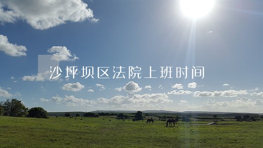 沙坪坝区法院上班时间 沙坪坝区法院上班时间
