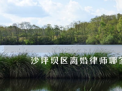 沙坪坝区离婚律师哪家好 沙坪坝区离婚律师哪家好