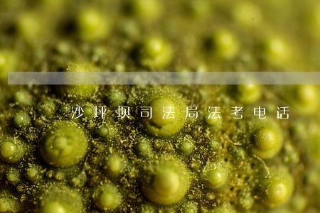 沙坪坝司法局法考电话