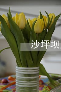 沙坪坝成人高考法律法规 沙坪坝成人高考法律法规