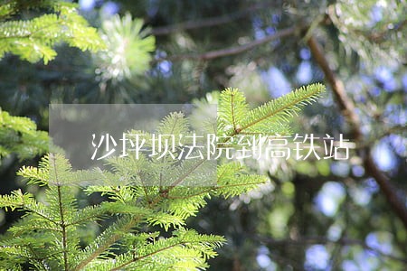 沙坪坝法院到高铁站 沙坪坝法院到高铁站