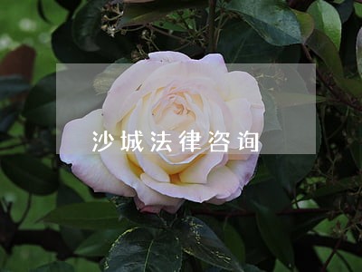 沙城法律咨询