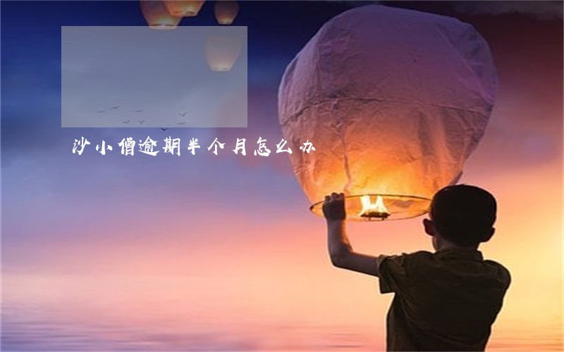 沙小僧逾期半个月怎么办 沙小僧逾期半个月怎么办