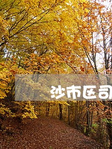沙市区司法局领导名单
