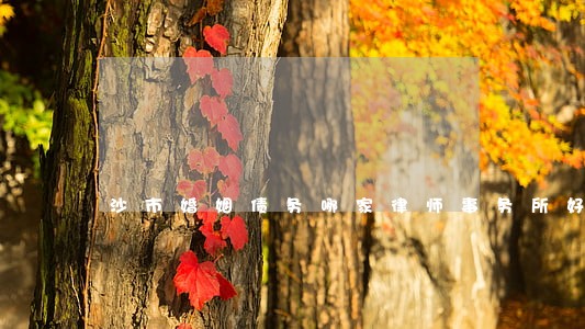 沙市婚姻债务哪家律师事务所好 沙市婚姻债务哪家律师事务所好