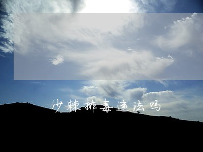 沙棘排毒违法吗