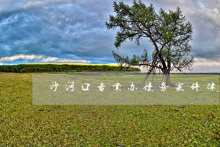沙河口专业办债务案件律师 沙河口专业办债务案件律师