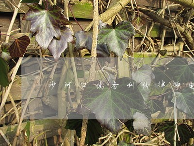 沙河口债务纠纷律师电话 沙河口债务纠纷律师电话