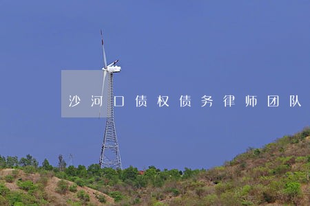 沙河口债权债务律师团队