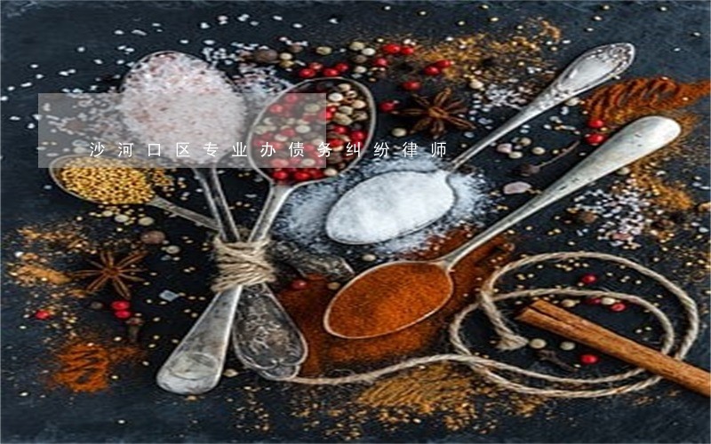 沙河口区专业办债务纠纷律师 沙河口区专业办债务纠纷律师