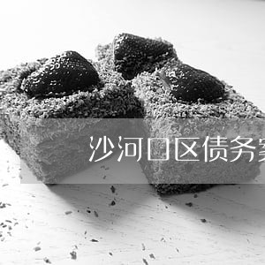 沙河口区债务案件律师电话咨询 沙河口区债务案件律师电话咨询