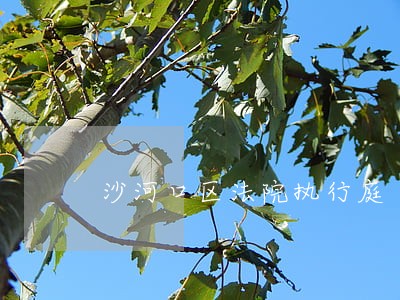 沙河口区法院执行庭