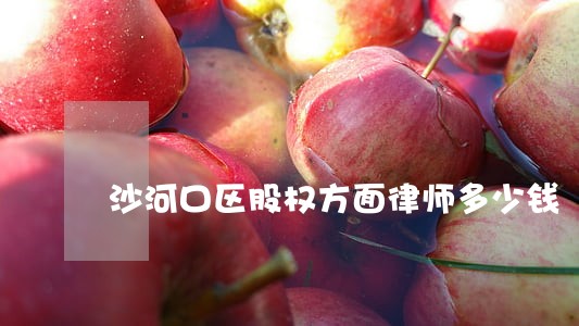 沙河口区股权方面律师多少钱 沙河口区股权方面律师多少钱