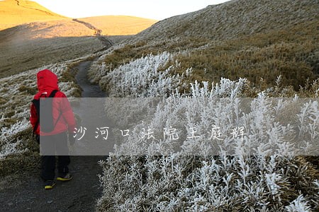 沙河口法院王庭辉 沙河口法院王庭辉