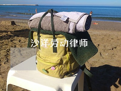 沙洋劳动律师