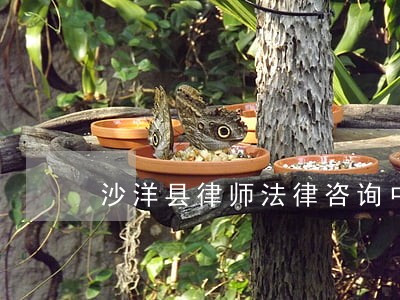 沙洋县律师法律咨询中心 沙洋县律师法律咨询中心