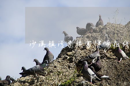 沙溪镇污染损害律师在线免费咨询 沙溪镇污染损害律师在线免费咨询