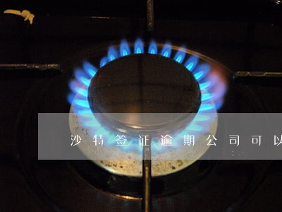 沙特签证逾期公司可以续签吗