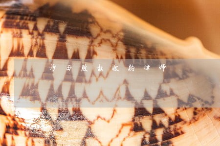 沙田股权收购律师 沙田股权收购律师
