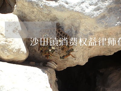 沙田镇消费权益律师在线免费咨询 沙田镇消费权益律师在线免费咨询