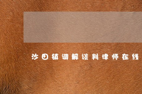 沙田镇调解谈判律师在线免费咨询 沙田镇调解谈判律师在线免费咨询