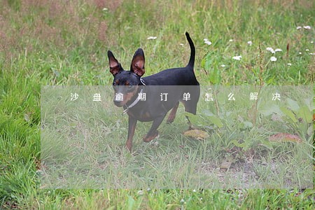 沙盘逾期订单怎么解决