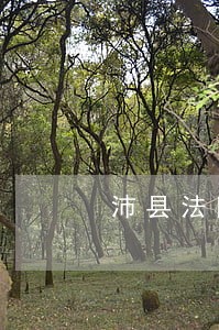 沛县法院公开案 沛县法院公开案
