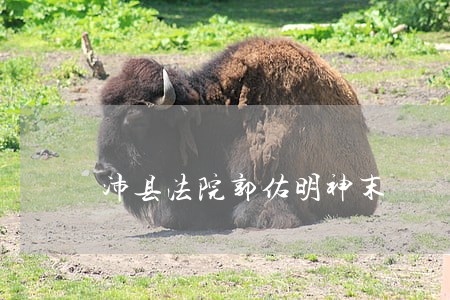 沛县法院郭佑明神末 沛县法院郭佑明神末