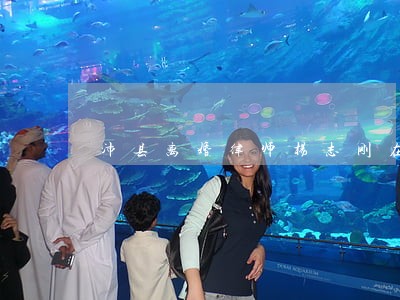 沛县离婚律师杨志刚在线免费咨询 沛县离婚律师杨志刚在线免费咨询