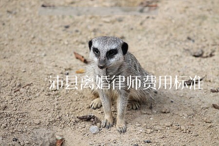 沛县离婚律师费用标准 沛县离婚律师费用标准