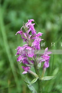 沟通只还本金 沟通只还本金