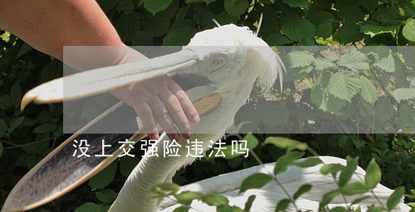 没上交强险违法吗 没上交强险违法吗