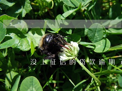 没上征信的贷款逾期了有记录 没上征信的贷款逾期了有记录
