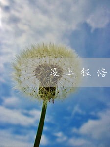 没上征信的逾期后会上吗 没上征信的逾期后会上吗