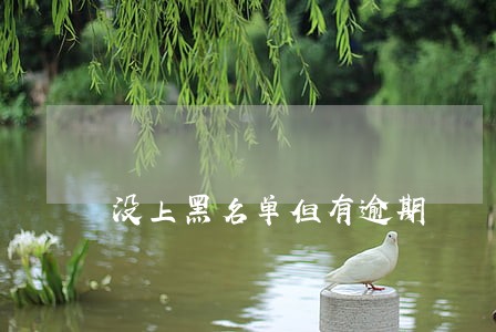 没上黑名单但有逾期 没上黑名单但有逾期