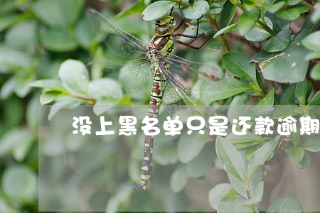 没上黑名单只是还款逾期 没上黑名单只是还款逾期