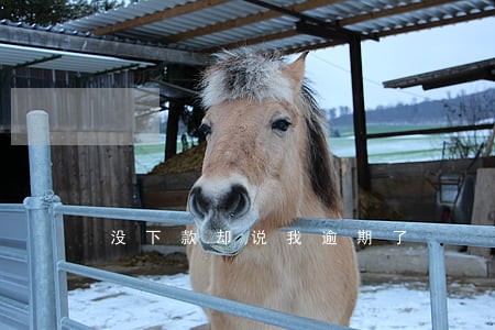 没下款却说我逾期了 没下款却说我逾期了