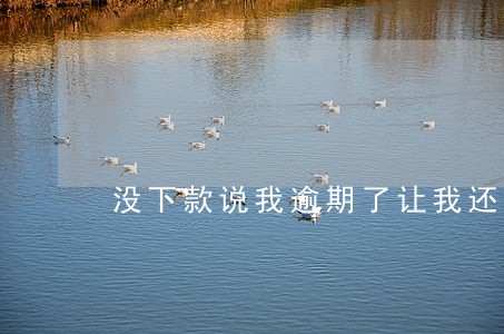 没下款说我逾期了让我还钱咋办 没下款说我逾期了让我还钱咋办