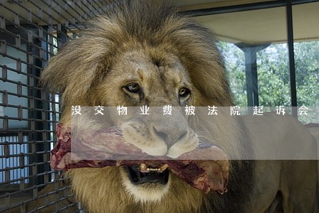 没交物业费被法院起诉会怎么样