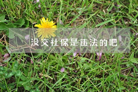 没交社保是违法的吧 没交社保是违法的吧