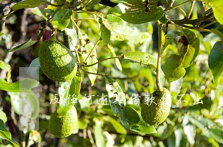 没任何逾期借款借不出 没任何逾期借款借不出