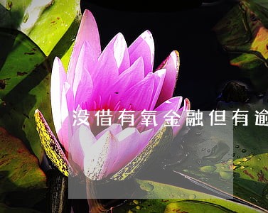 没借有氧金融但有逾期短信 没借有氧金融但有逾期短信