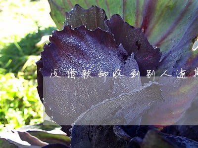 没借款却收到别人逾期短信 没借款却收到别人逾期短信