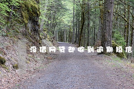 没借网贷却收到逾期短信 没借网贷却收到逾期短信