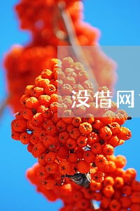 没借网贷打电话发短信说逾期 没借网贷打电话发短信说逾期