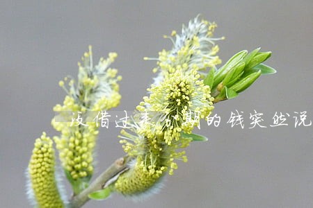 没借过来分期的钱突然说我逾期了 没借过来分期的钱突然说我逾期了
