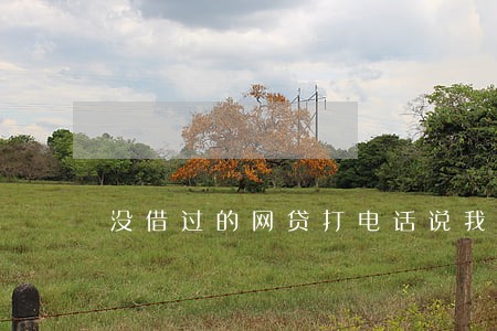 没借过的网贷打电话说我逾期 没借过的网贷打电话说我逾期